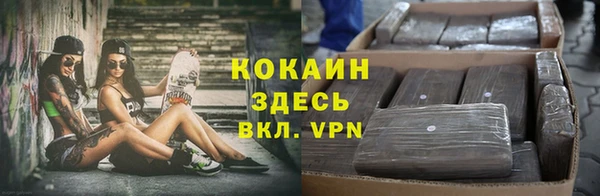 хмурый Богородицк