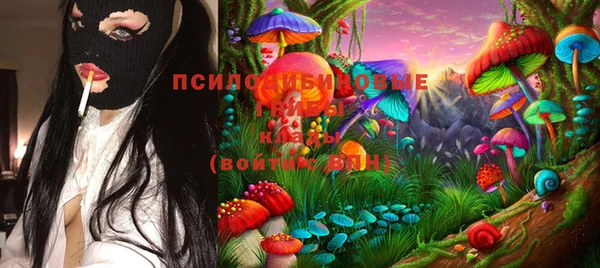 хмурый Богородицк