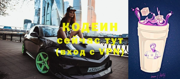 хмурый Богородицк