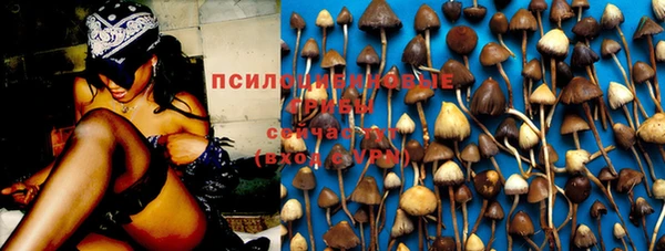 mix Богданович